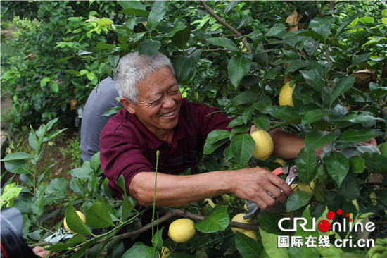 已过审【区县联动】【铜梁】土地承包到期延长 有力促进农村经济发展