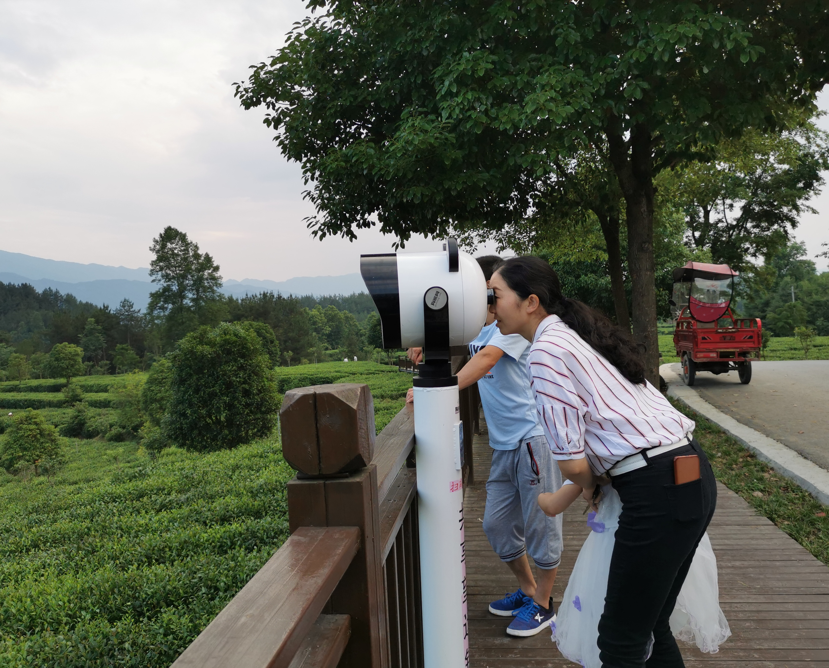 “茶博士”“茶王”强强联手 汉中“茶旅融合”蹚出新路子_fororder_图片3