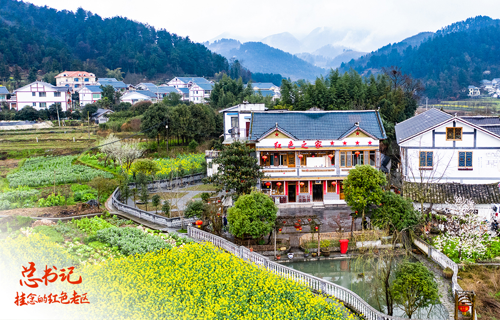 总书记挂念的红色老区｜花茂村的“美丽乡愁”