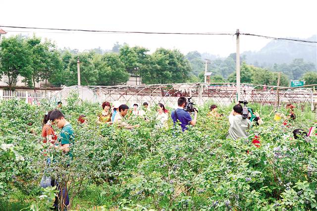 【区县联动】【南川】南川 扶贫搬迁“搬”出新天地