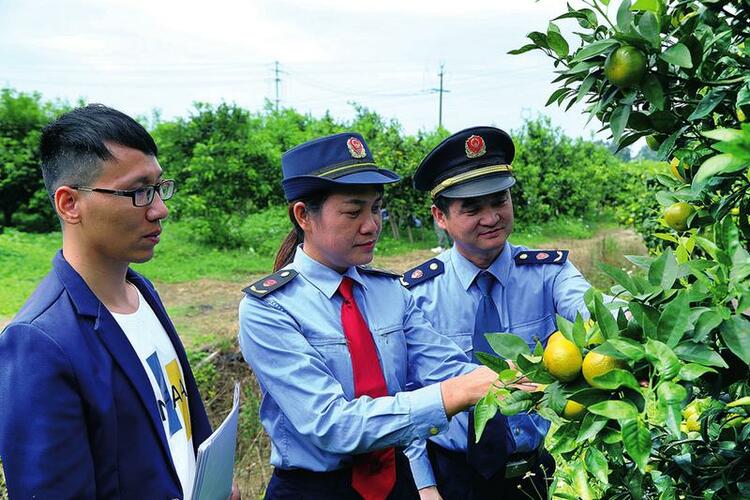 科学监管筑防线 提升质量促发展——南宁市积极推动地方特色食品质量安全和产业发展