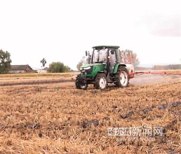 夯实粮食安全之基 冰城筑牢“压舱石”