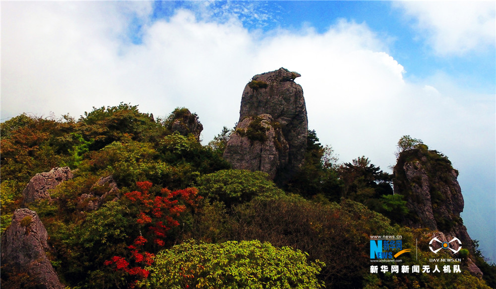 红叶成最美点缀 航拍重庆红池坝湿地之秋