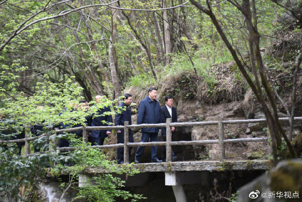 习近平在陕西考察秦岭生态保护情况