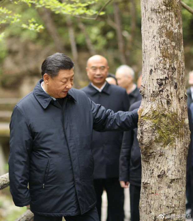 习近平在陕西考察秦岭生态保护情况