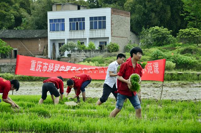 【科教 标题摘要】重庆经贸中专 走职教创新之路 培养实用型人才