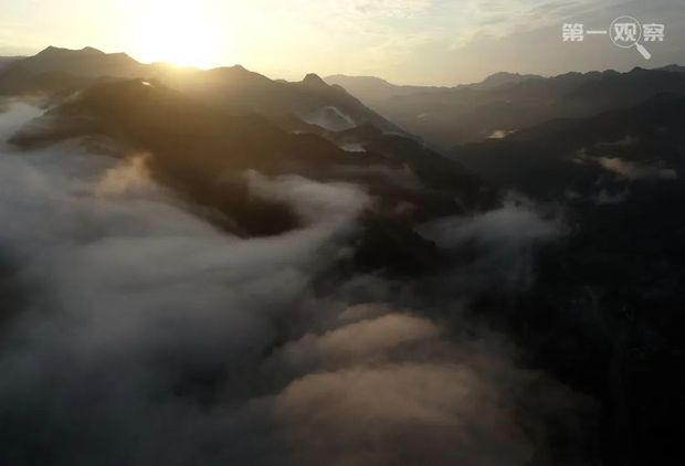 鉴往知来：总书记来到秦岭，关注山清水秀有深意