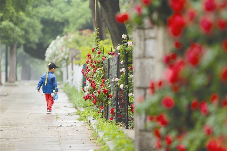 缤纷花路扮美大连