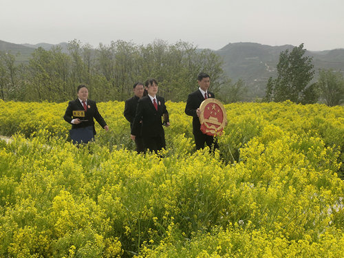 OK【河南供稿】三门峡卢氏法院：巡回审判进乡村 法庭开到村委会