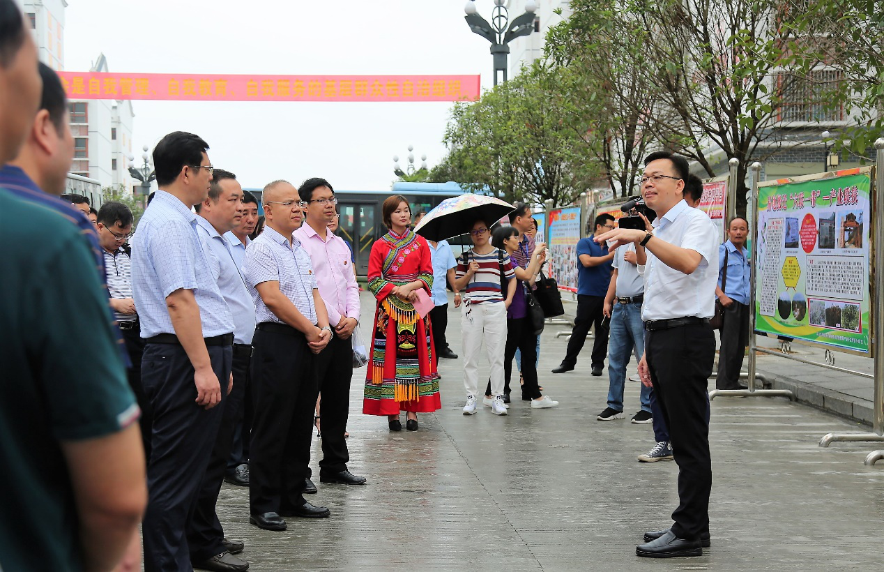 广西易地扶贫安置点基层组织建设学习交流会在河池环江举行