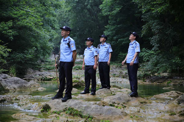 打早打小 荆门警方严打森林资源犯罪守护生态安全_fororder_图片1_副本