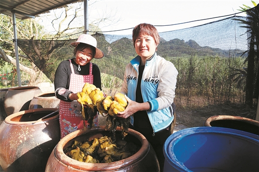 崇左保安酸菜“漂洋过海”