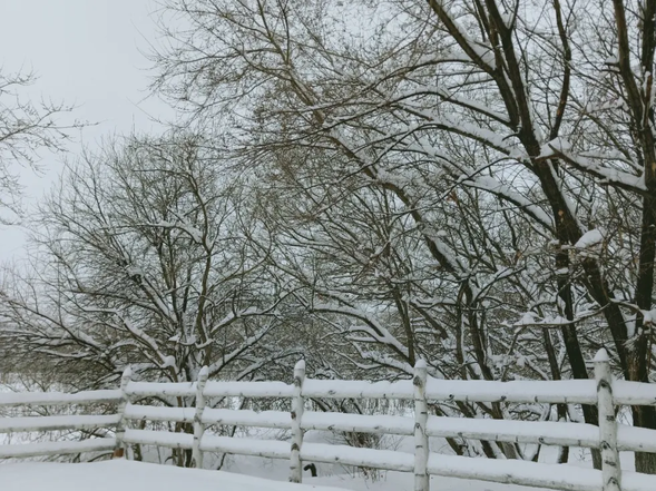 【OK有修改】（急稿）【供稿】【黑龙江】黑河吹响迎战暴雪“集结号”