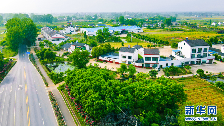 开着汽车看乡村丨村村有公路 一路一风景