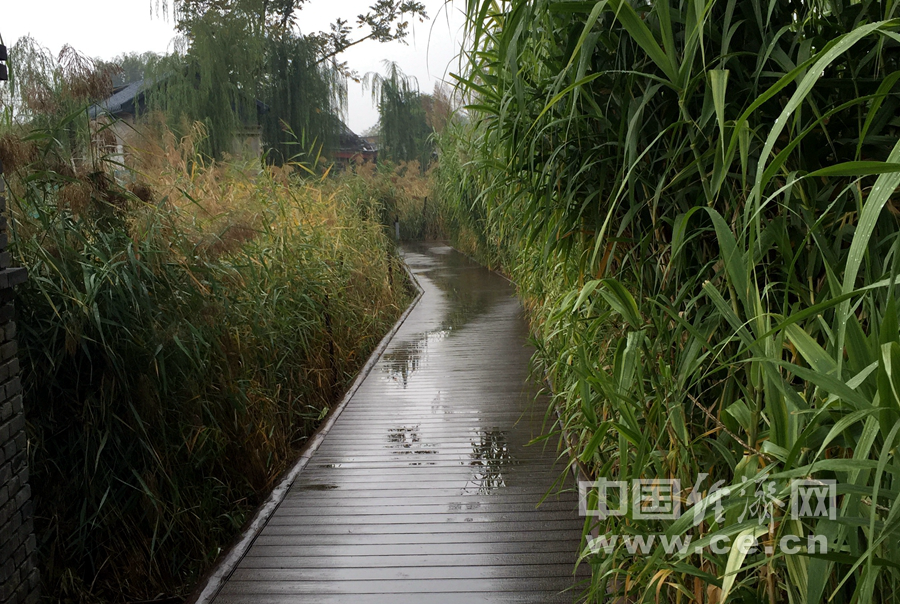 雨中游北京前门三里河 观水穿街巷美景