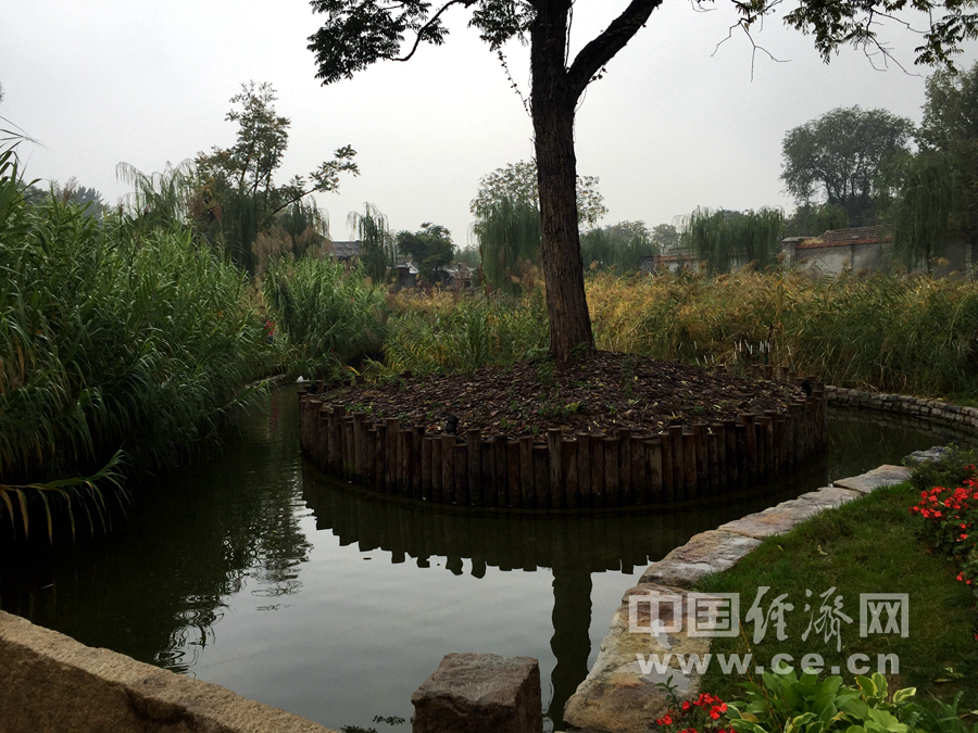 雨中游北京前门三里河 观水穿街巷美景