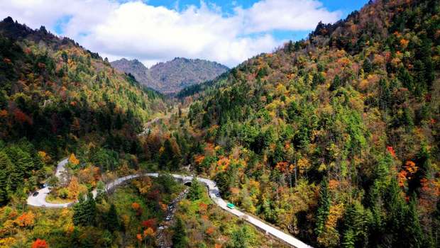 鉴往知来，跟着总书记学历史丨 “一座秦岭山，半部中国史”