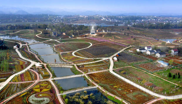 鉴往知来，跟着总书记学历史丨 “一座秦岭山，半部中国史”