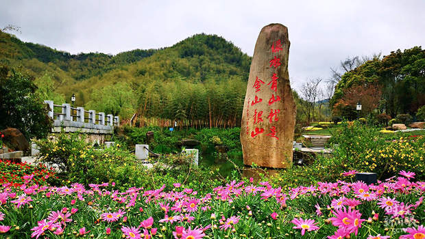 鉴往知来，跟着总书记学历史丨 “一座秦岭山，半部中国史”