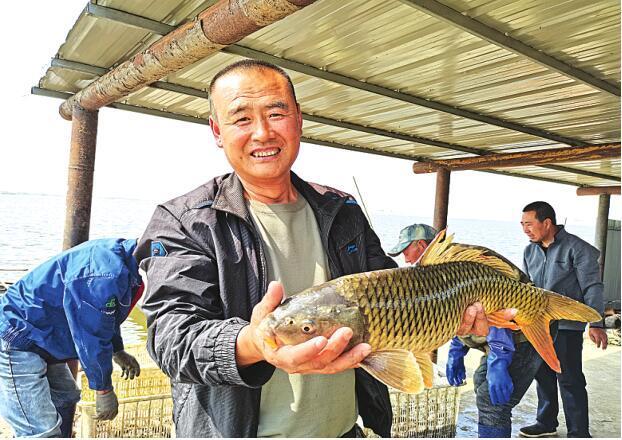 黑龙江大庆：肇源有个“神秘岛”，鸟飞狐狸跑