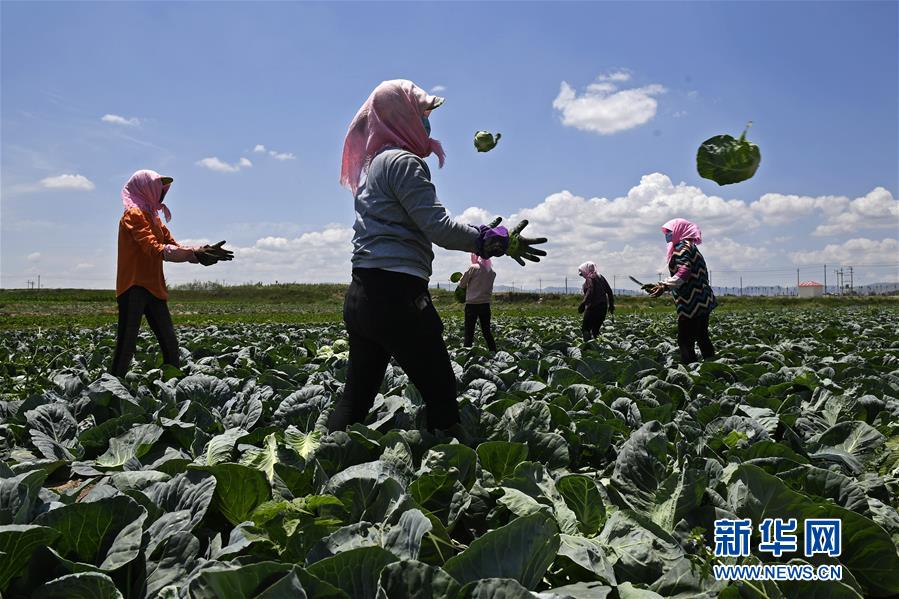 提高就业质量和人民收入水平