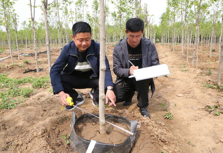 OK【河南供稿】平顶山市宝丰县：吸纳农村剩余劳动力家门口打工助增收