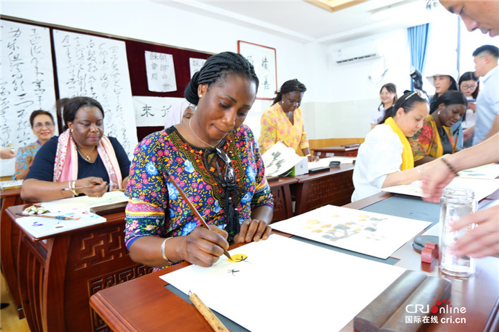 冈比亚驻华大使夫人Jammeh Nyima Gambjan：希望有机会可以带我们的年轻人来西安交流学习_fororder_图片402