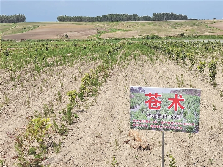 哈尔滨市方正县聚焦解决1281件民生实事