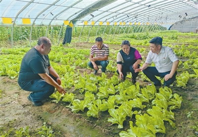 沈阳浑南区魏家沟社区第一书记董效多： 当好乡村振兴的“领头雁”_fororder_1