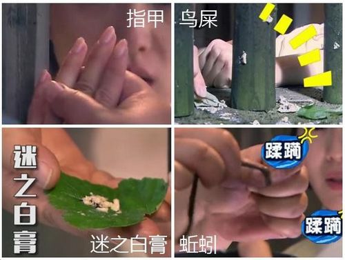 《女医》情节遭质疑:鸡屎入药 病人塞牛肚