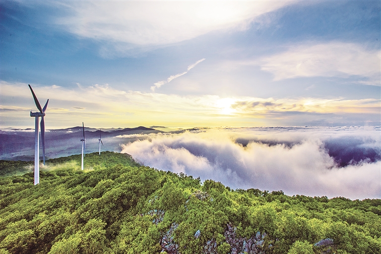 双鸭山：打好资源牌 拓宽转型路