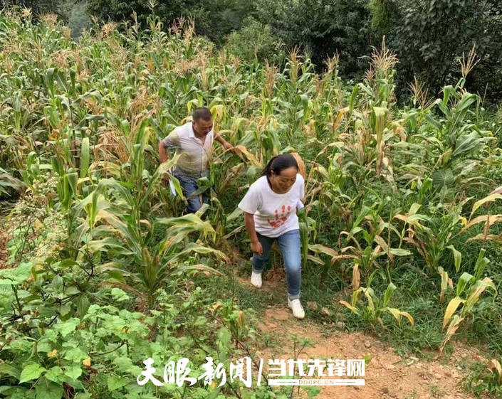 （大扶贫）等不到的身影！他走了，精神却永远留在脱贫攻坚战线