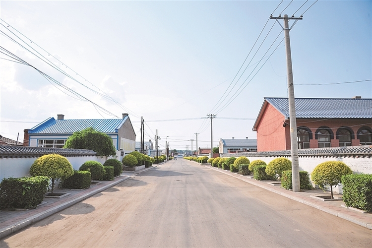 哈尔滨市双城区推进乡村环境整治 从“清洁乡村”迈向“生态乡村”