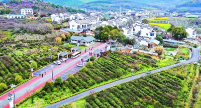 南京民宿行业走过井喷期，迎来“成长的烦恼”