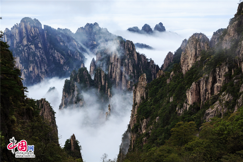 秋观云海 用身心体味黄山的自然神奇