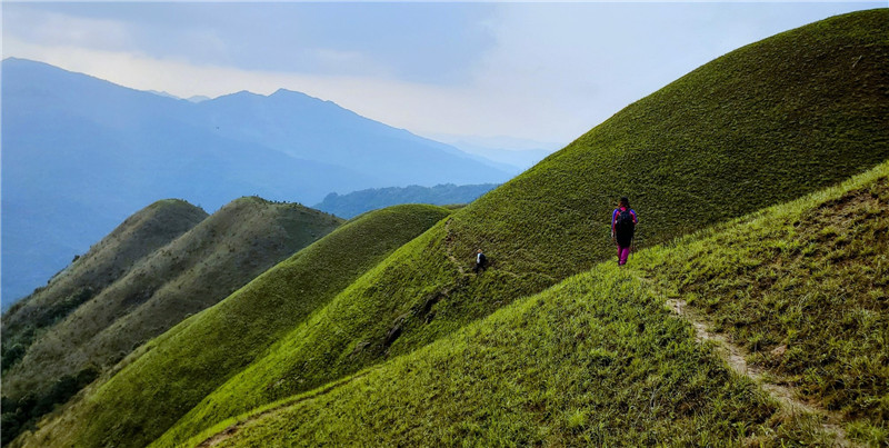 【OK】广西上思：十万大山里的高山草原（组图）