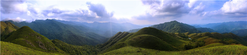 【OK】广西上思：十万大山里的高山草原（组图）