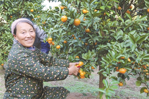 广西：乡村风貌大变样 特色产业前景阔