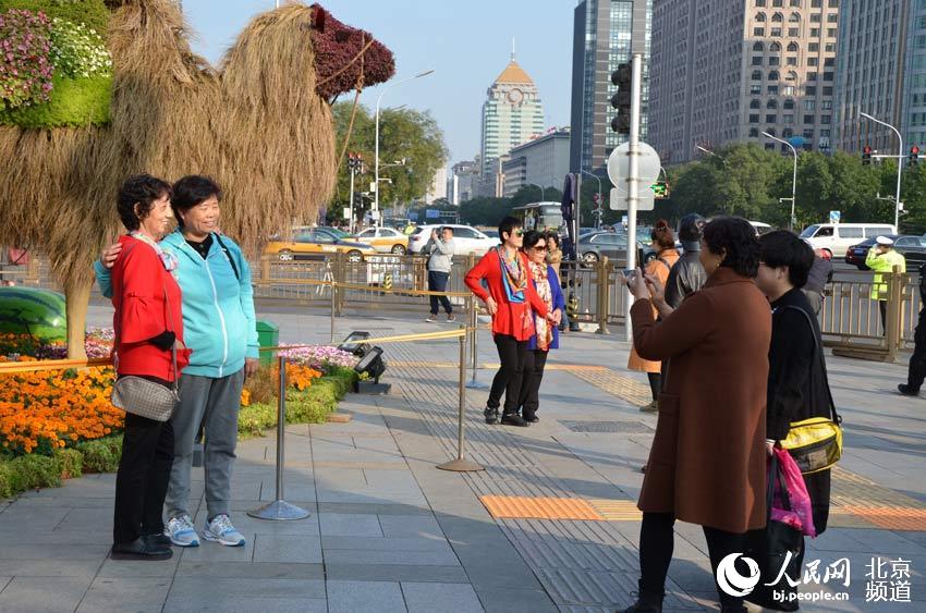 京城花团锦簇 引得市民观赏拍照