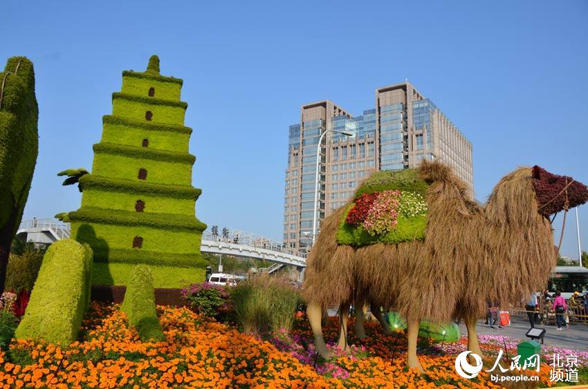 京城花团锦簇 引得市民观赏拍照