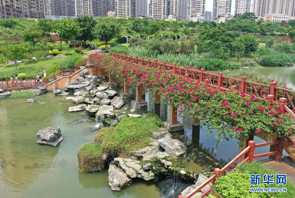 盛夏的南宁市那考河湿地公园