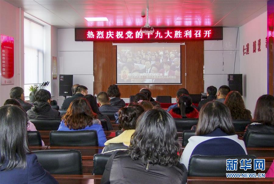 全面从严治党，以更高能力和水平引领新时代——来自基层蹲点现场的报道