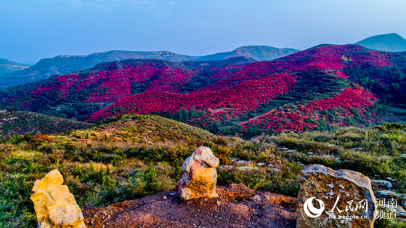 河南禹州：看满山红遍 层林尽染