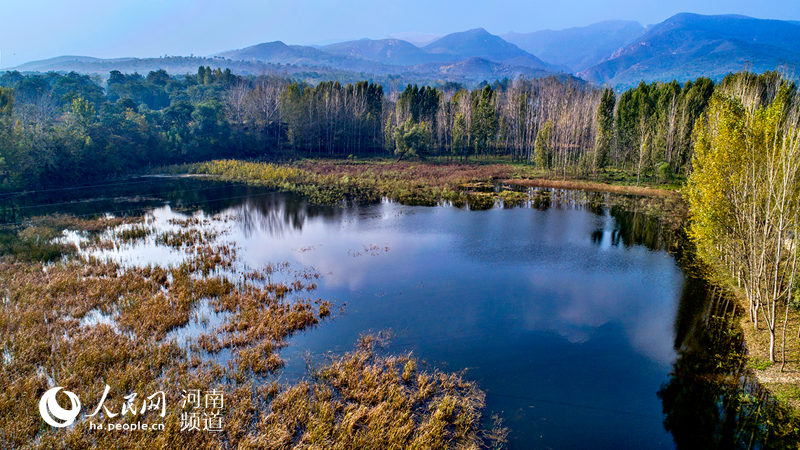 河南禹州：看满山红遍 层林尽染