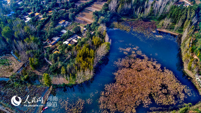 河南禹州：看满山红遍 层林尽染