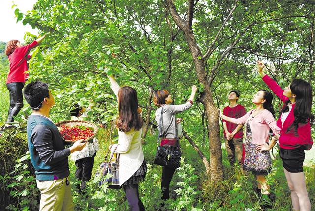 【区县联动】【綦江】綦江 建设宜居宜业宜游美丽乡村