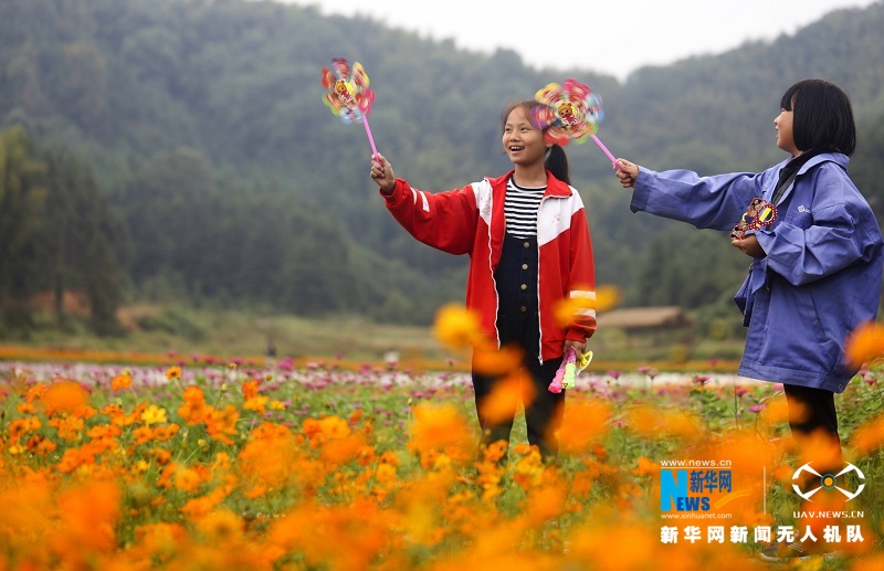 航拍江西新余“花海经济”助贫 绿水青山藏金山