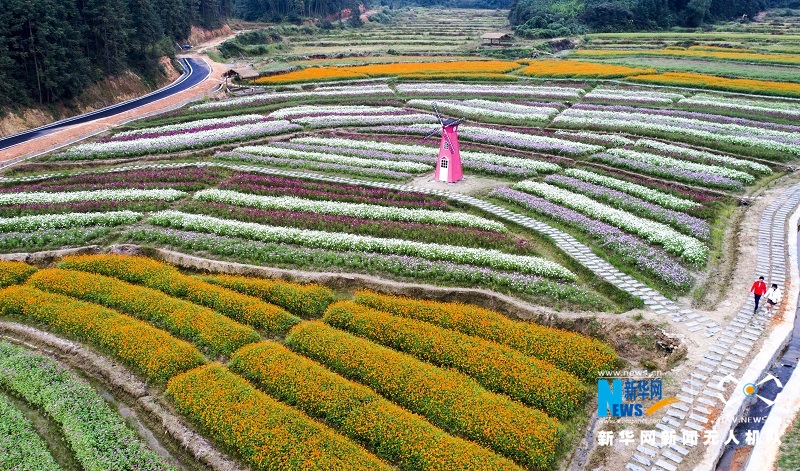 航拍江西新余“花海经济”助贫 绿水青山藏金山