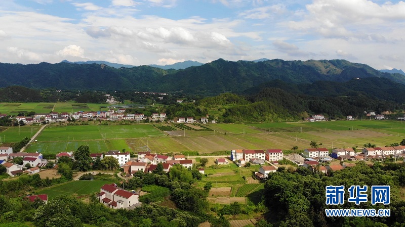 湖北英山：美丽乡村绘就幸福画卷