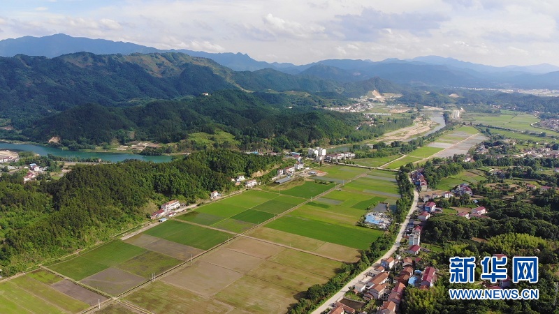 湖北英山：美丽乡村绘就幸福画卷